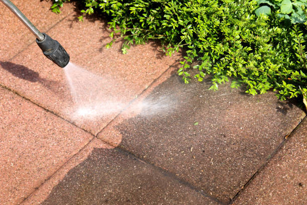 Best Exterior Home Cleaning  in Biggs, CA